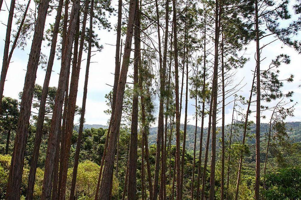 Pousada Campos Verde Campos do Jordão Exterior photo